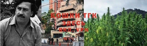 дурь Алексеевка