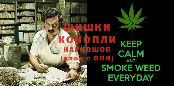 дурь Алексеевка