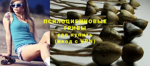 не бодяженный Алзамай