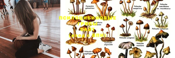 не бодяженный Алзамай