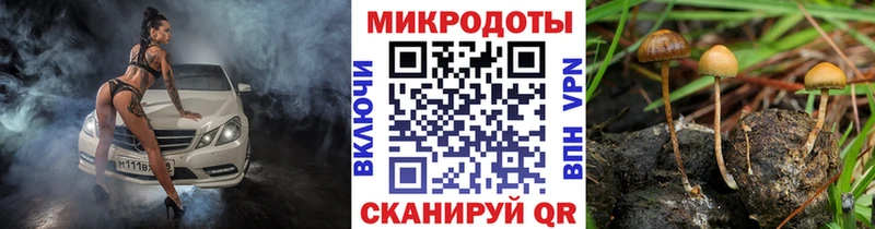 Псилоцибиновые грибы Psilocybe  площадка формула  Тобольск 