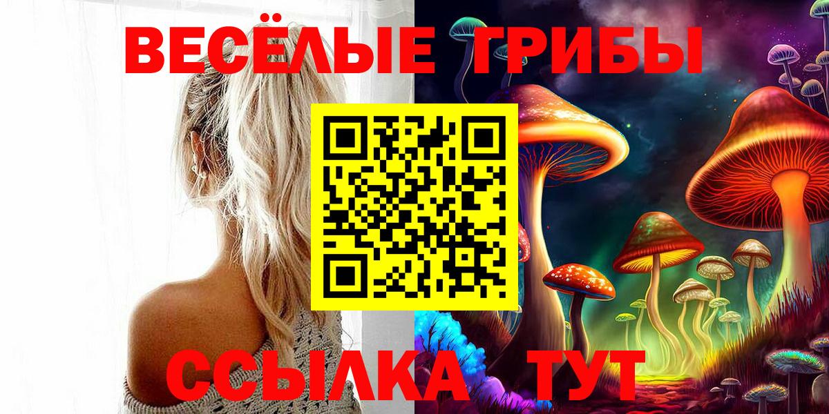 Галлюциногенные грибы Psilocybe  купить закладку  Тобольск  Вход с VPN 