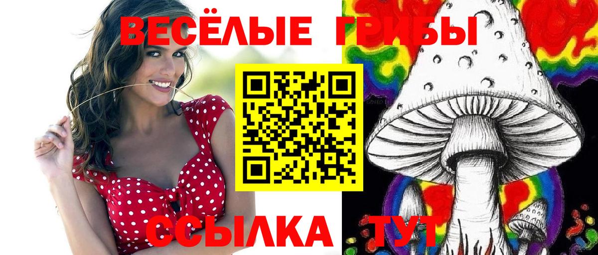 Галлюциногенные грибы MAGIC MUSHROOMS Тобольск
